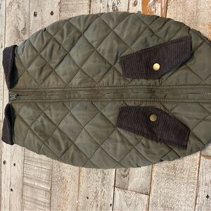 Olive Quilted Dog Coat